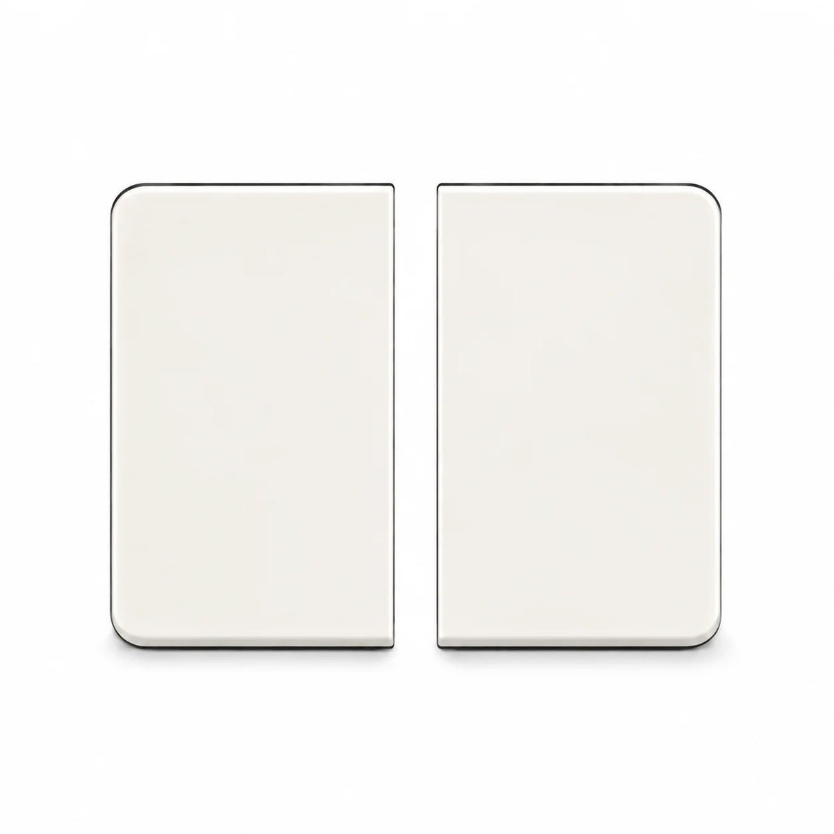 Switch Plate Cover 2-Channel Light Switch Merkur