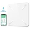 smart life personal scales bluetooth body fat analysis with app history